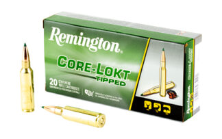 REM 29043 RT300WSM 300 WSM 150 CL 2