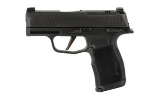 SIG P365X PST 9MM 12RD MS XRAY