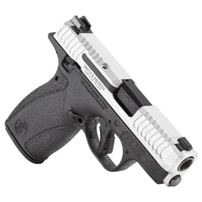 S&W Bodyguard 2.0 380 12RD 2-Tone TS NS DE