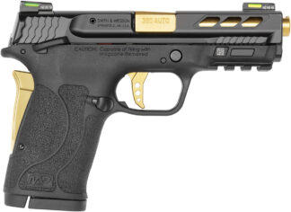 S&W M&P380 PC Gold BBL Ported