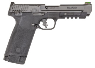 Smith & Wesson 13433 M&P 22 Magnum 22 WMR Ambi Controls