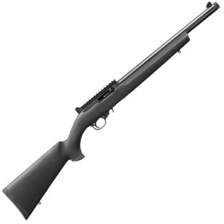 Ruger 10/22 Carbine 22LR BL/Hogue