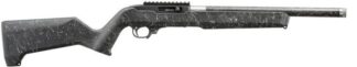 Ruger 10/22 22LR 10RD CRB TB X2