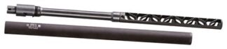 S&W MIST-22 Take Down