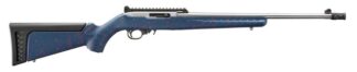 Ruger 32039 10/22 22LR BXTRIG 250 ANN RDW
