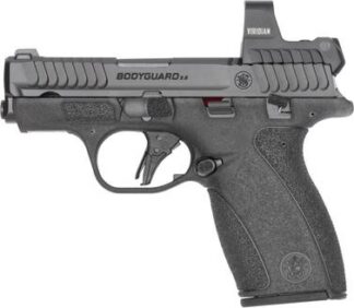 S&W Bodyguard 2.0 14785 380 2.75 TS RFX1 10